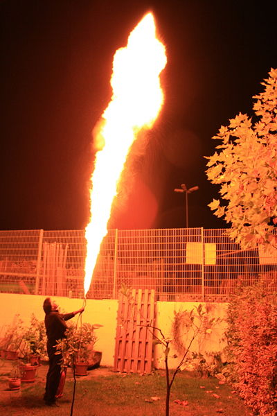 Name:  flamethrower2.jpg
Views: 487
Size:  52.7 KB