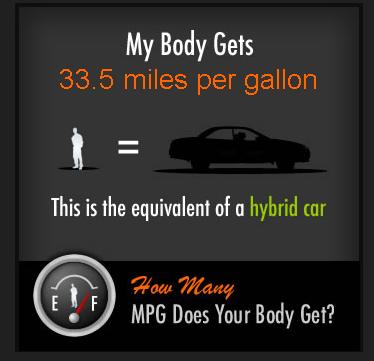 Name:  Body MPG.JPG
Views: 934
Size:  17.5 KB