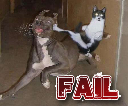 Name:  fail-kitty.jpg
Views: 912
Size:  40.3 KB