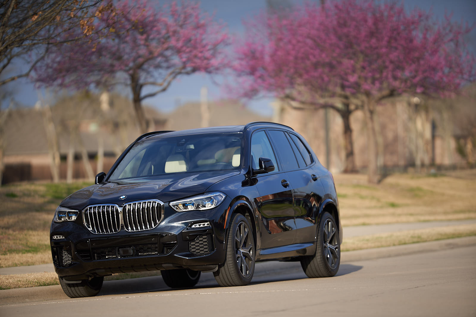 Name:  2019_BMW_X5_xDrive_ 4.jpg
Views: 5411
Size:  190.6 KB