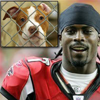 Name:  20070817-MichaelVick Pitbull.jpg
Views: 1590
Size:  15.3 KB