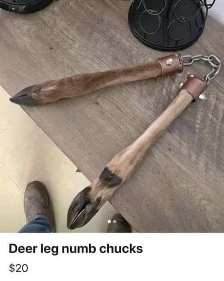 Name:  DEER.jpeg
Views: 2029
Size:  404.7 KB