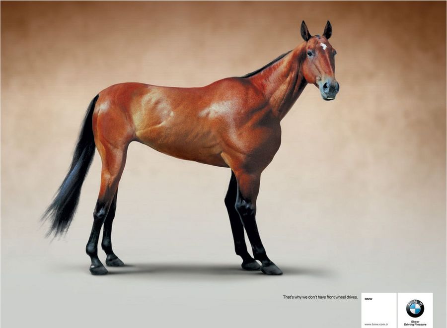 Name:  horse.jpg
Views: 5164
Size:  47.7 KB