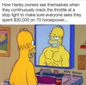 Name:  homer.jpeg
Views: 1641
Size:  35.7 KB