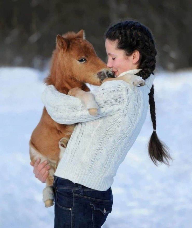 Name:  Horse..jpg
Views: 2131
Size:  52.8 KB
