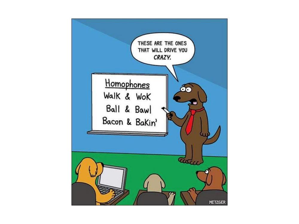 Name:  Homophones..jpg
Views: 1144
Size:  51.2 KB