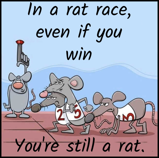 Name:  Rat Race (1).jpg
Views: 1389
Size:  121.8 KB