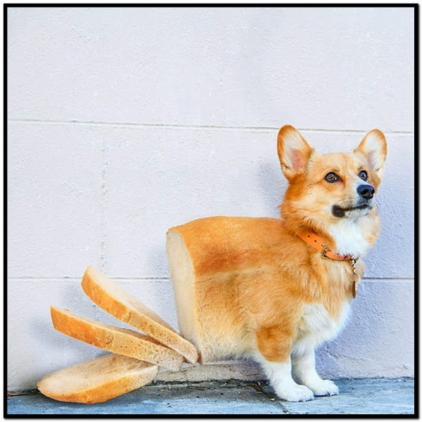 Name:  Slice.jpg
Views: 1026
Size:  80.6 KB