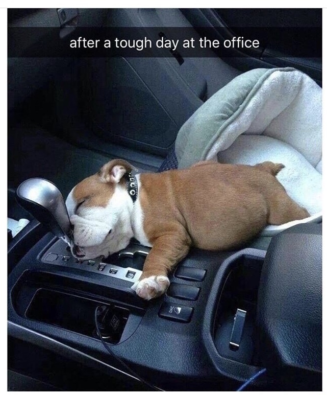 Name:  Tough Day..jpg
Views: 1587
Size:  181.9 KB