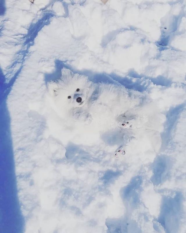 Name:  Snow.jpg
Views: 3188
Size:  47.0 KB