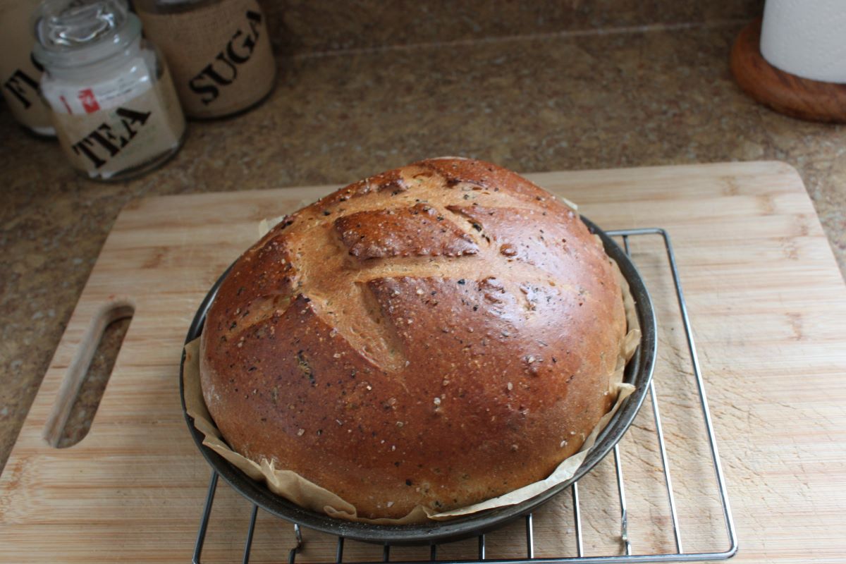 Name:  Olive bread 3.JPG
Views: 3430
Size:  130.0 KB