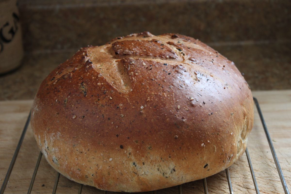 Name:  Olive bread 2.JPG
Views: 3262
Size:  118.8 KB