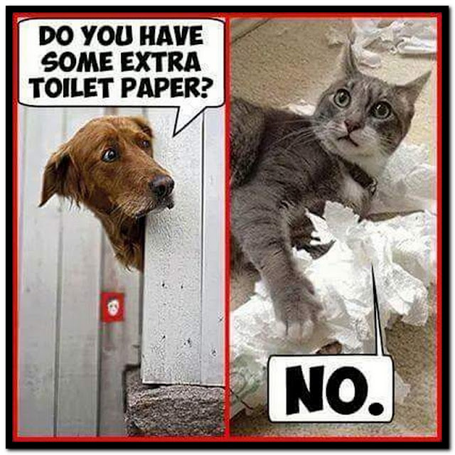 Name:  Paper.jpg
Views: 2097
Size:  112.0 KB