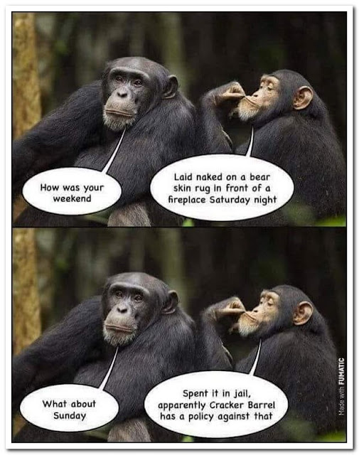 Name:  Apes.jpg
Views: 1747
Size:  81.7 KB