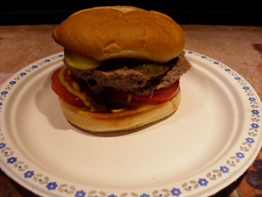 Name:  Burger.JPG
Views: 610
Size:  60.1 KB