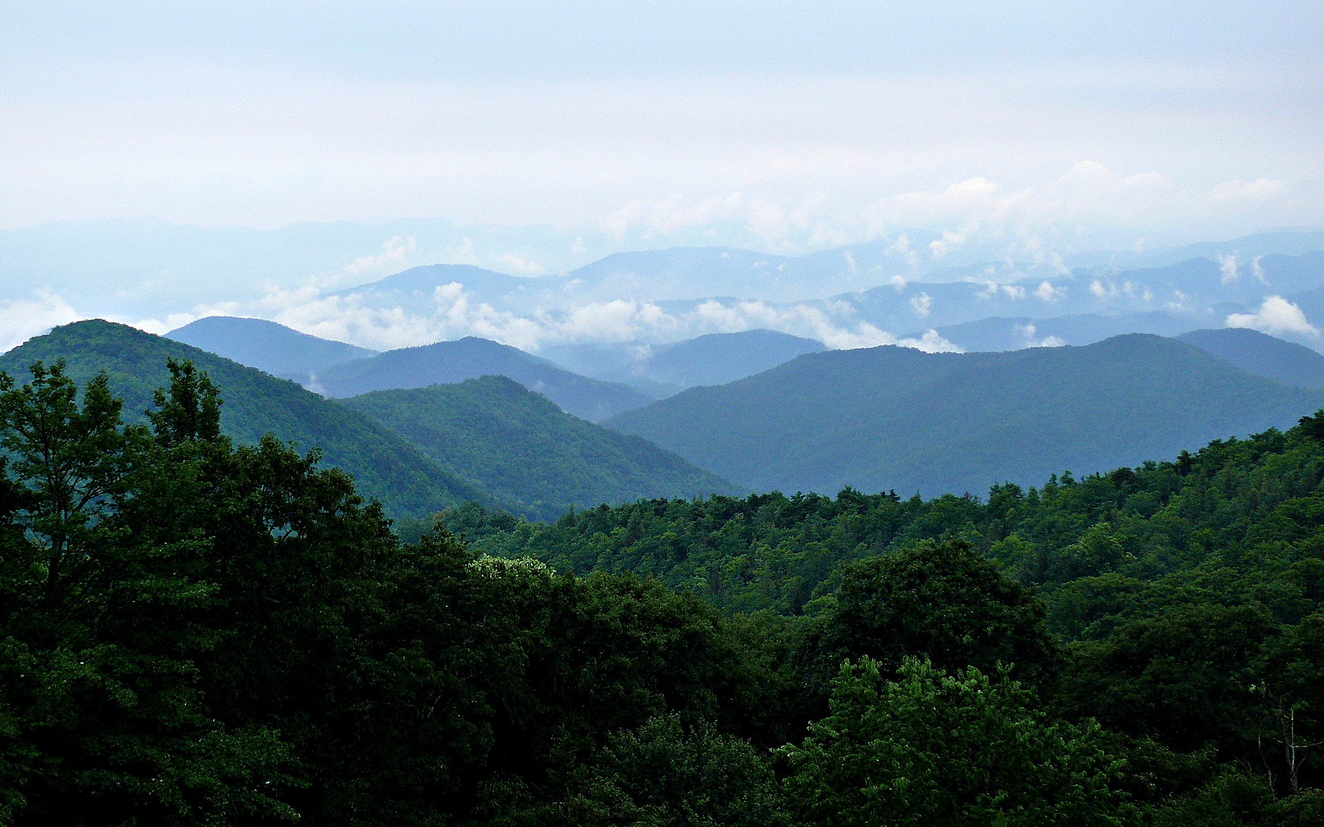 Name:  Rainy_Blue_Ridge-27527.jpg
Views: 9690
Size:  549.4 KB