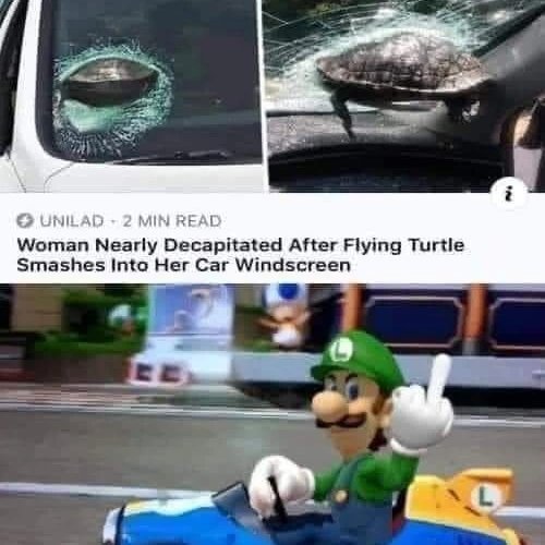 Name:  luigi.jpg
Views: 1463
Size:  45.5 KB