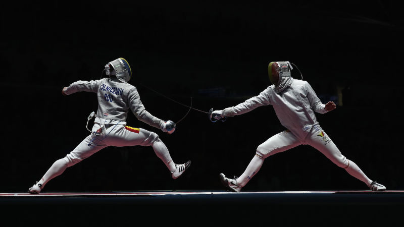 Name:  Fencing.jpg
Views: 3425
Size:  35.2 KB