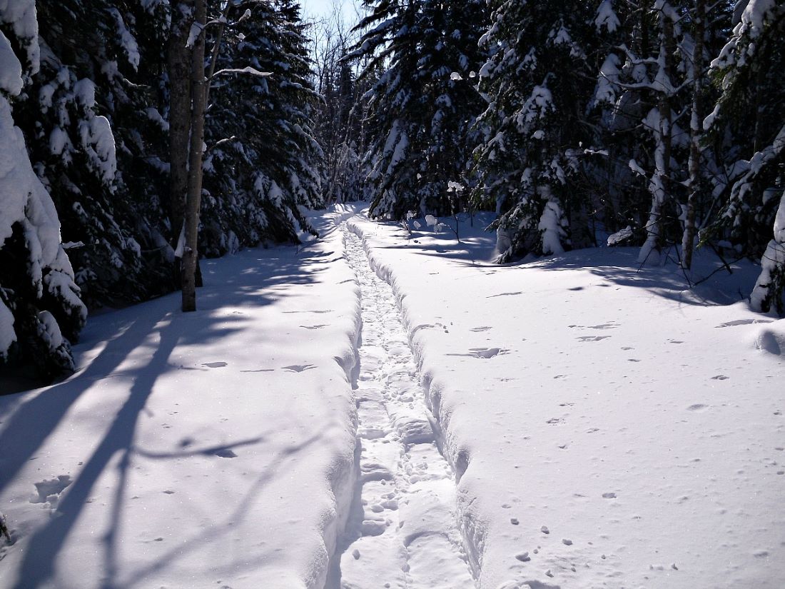 Name:  Snowshoes..JPG
Views: 468
Size:  179.0 KB