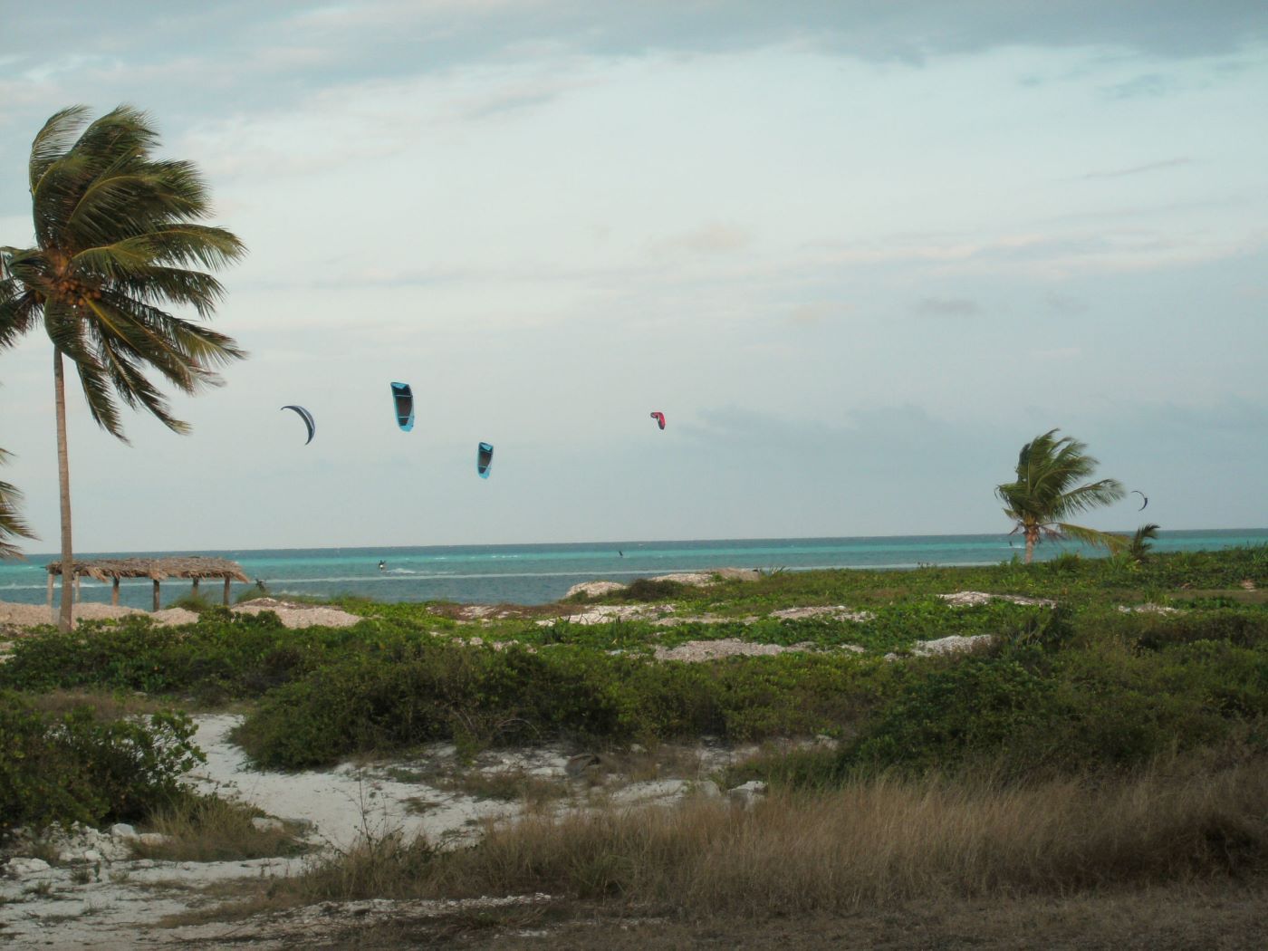 Name:  Kite Surfing.JPG
Views: 2139
Size:  161.8 KB