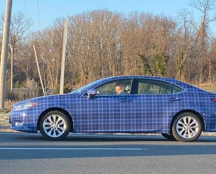 Name:  Plaid..jpg
Views: 1182
Size:  77.4 KB