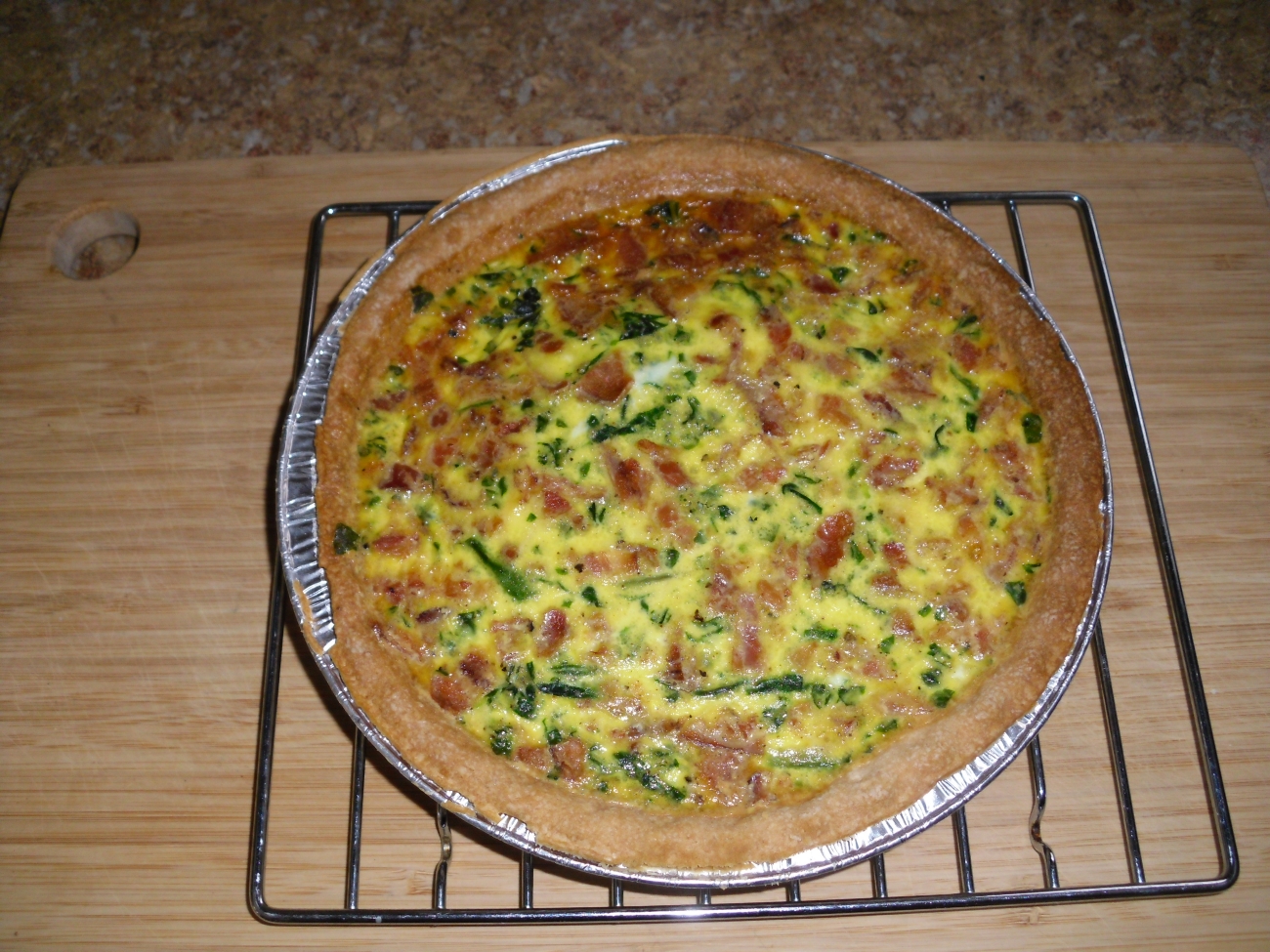 Name:  quiche..JPG
Views: 545
Size:  1,000.2 KB