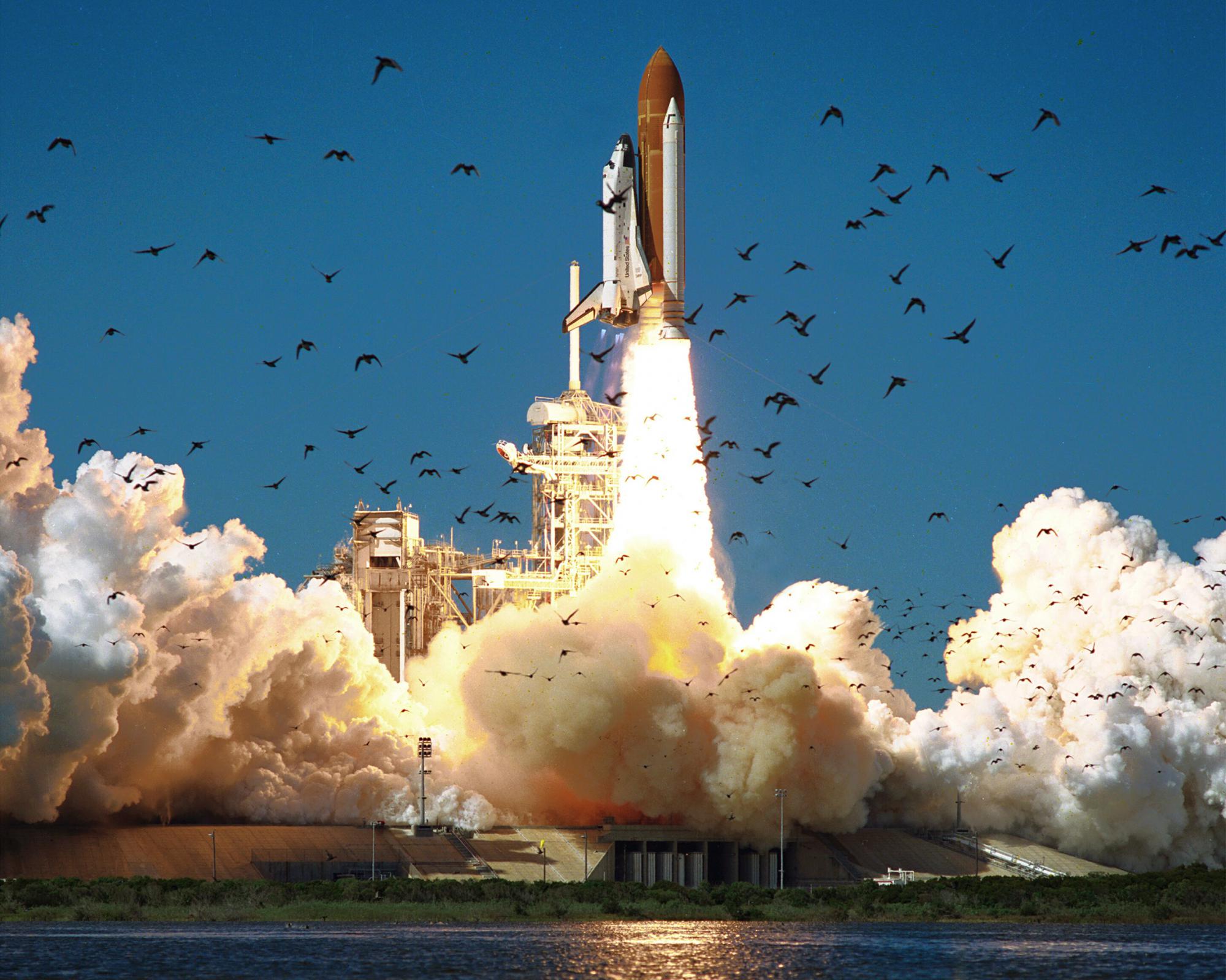 Name:  STS-51-L.jpg
Views: 2733
Size:  314.5 KB