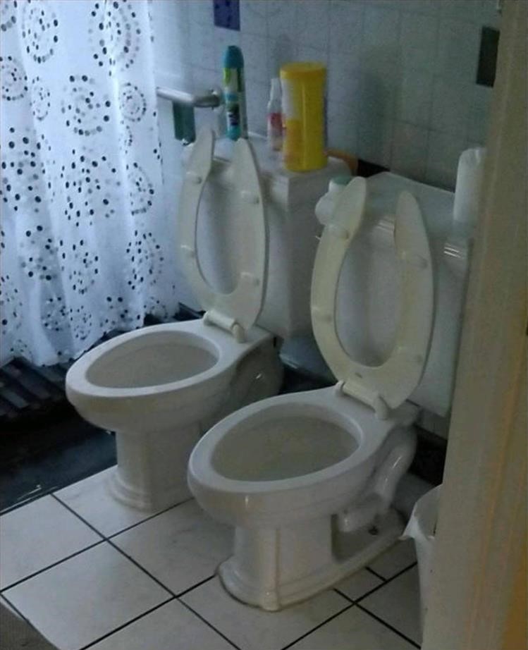 Name:  Toilet.jpg
Views: 1452
Size:  112.4 KB