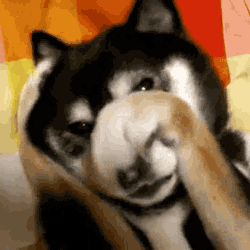 Name:  Face palm..gif
Views: 2651
Size:  987.6 KB