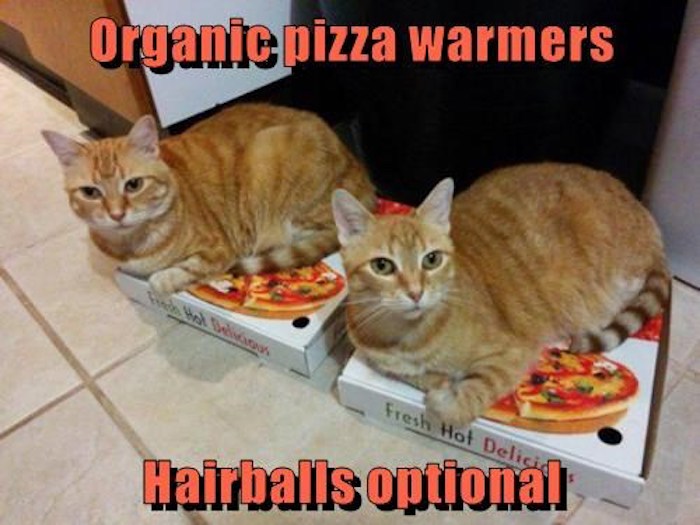 Name:  hairballs-not-optional-if-you-dont-share.jpeg
Views: 1466
Size:  77.8 KB