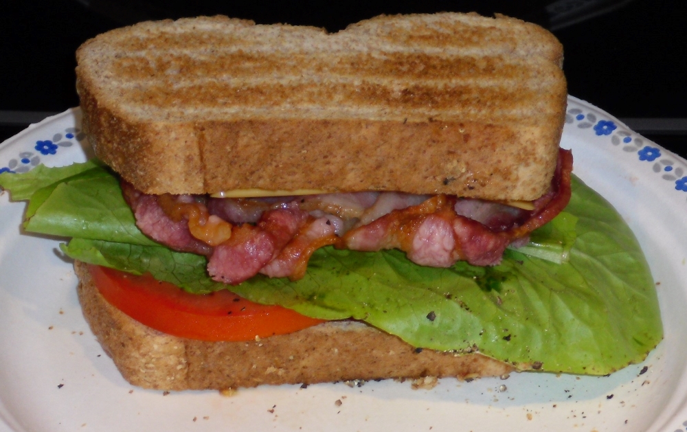 Name:  BLT.jpg
Views: 507
Size:  426.2 KB