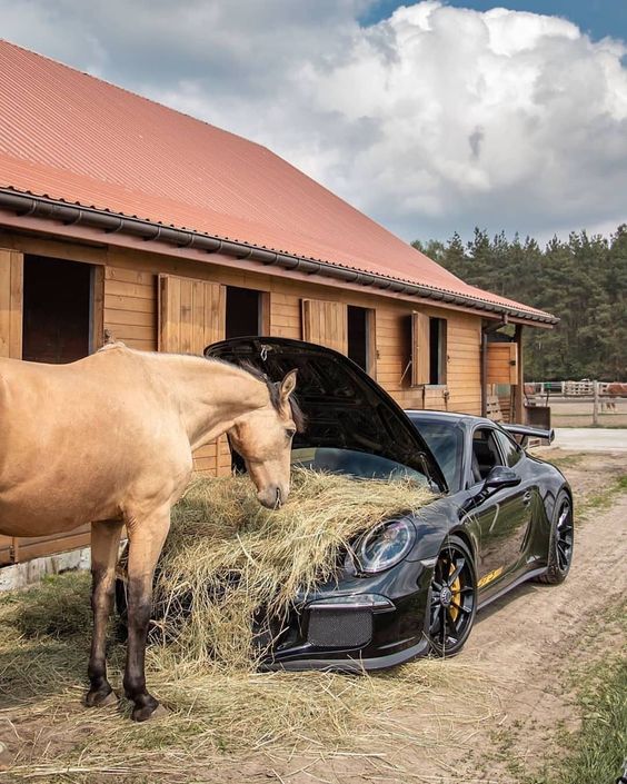 Name:  Horsepower.jpg
Views: 663
Size:  93.9 KB