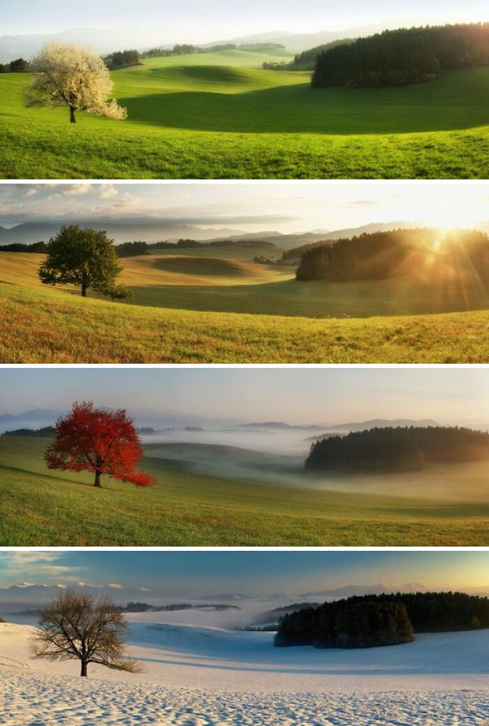 Name:  The four seasons..jpg
Views: 635
Size:  132.9 KB