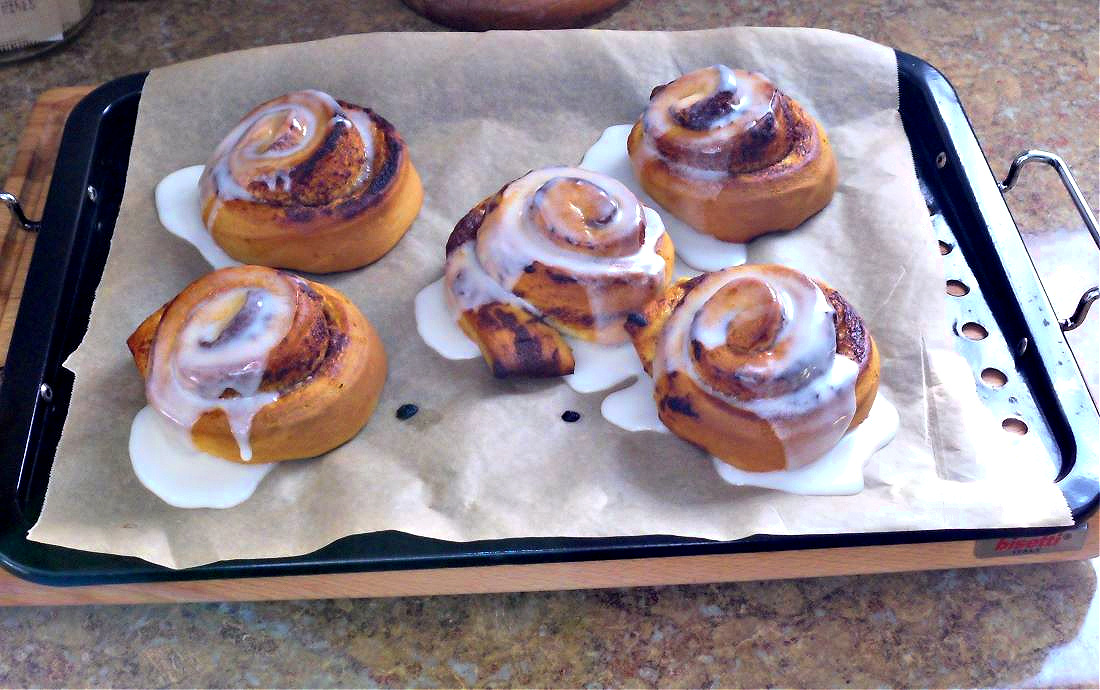 Name:  Cinnabuns..jpg
Views: 522
Size:  311.4 KB