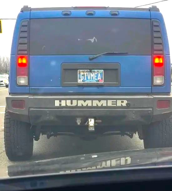 Name:  Hummer..jpg
Views: 1360
Size:  54.6 KB