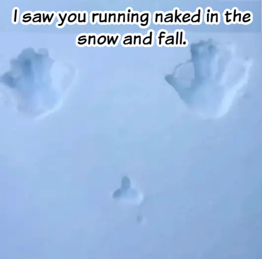 Name:  Running in the snow..jpg
Views: 1226
Size:  47.6 KB