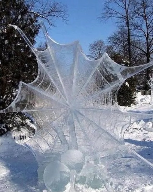 Name:  Frozen web..jpg
Views: 497
Size:  157.1 KB