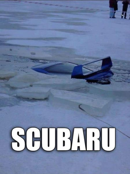 Name:  Scubaru..jpg
Views: 597
Size:  33.1 KB