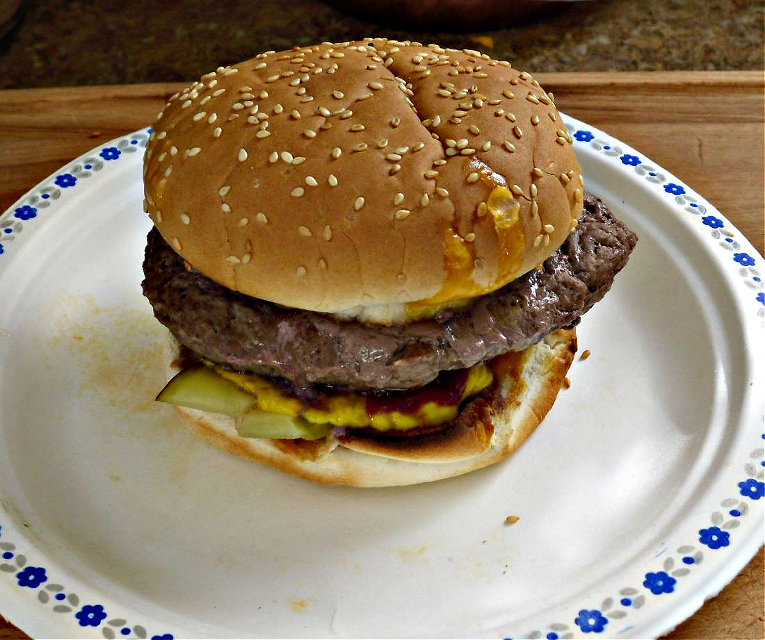 Name:  Burger..jpg
Views: 456
Size:  348.9 KB