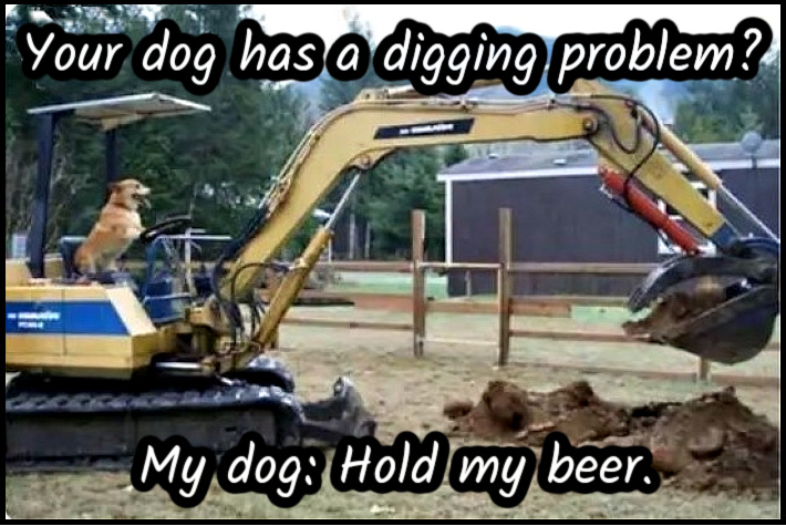 Name:  Digging. (1).jpg
Views: 1435
Size:  177.2 KB