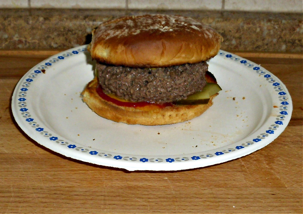 Name:  Chz burger..jpg
Views: 121
Size:  342.1 KB