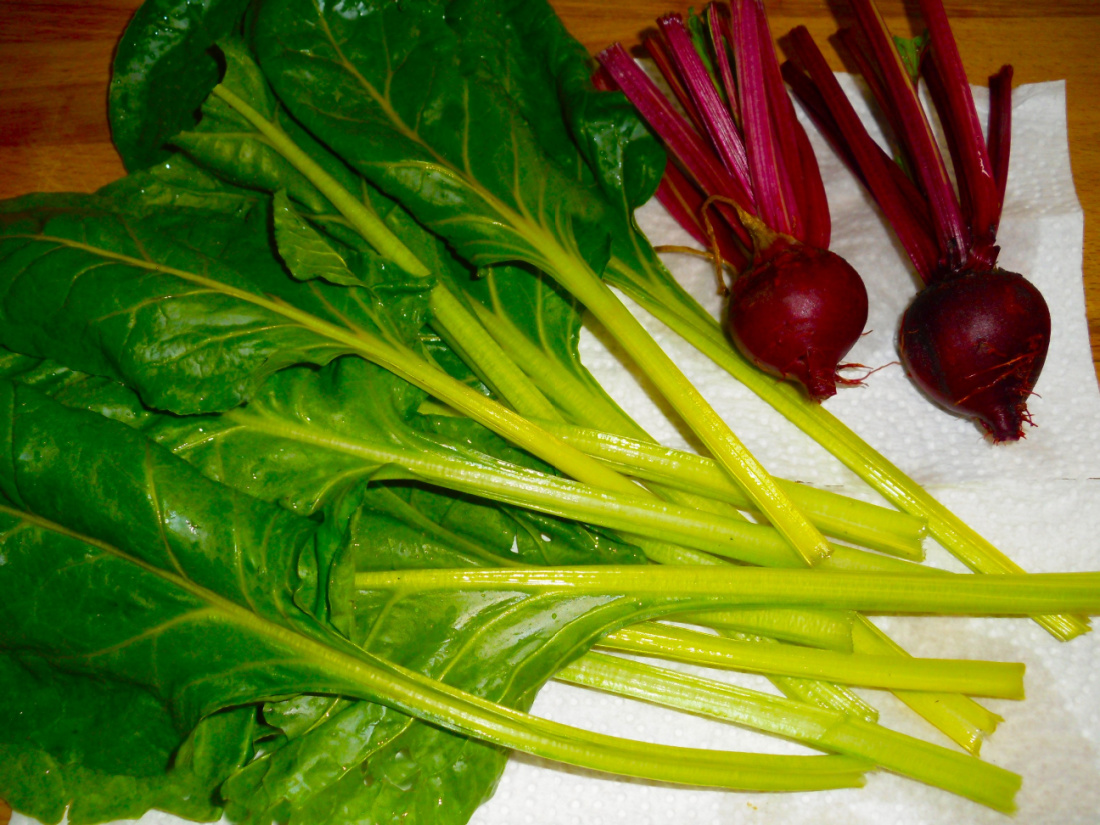 Name:  Chard and beets..jpg
Views: 250
Size:  432.9 KB