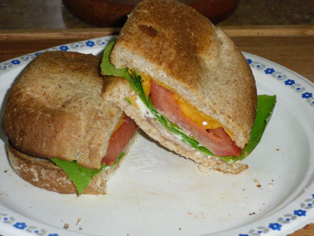 Name:  BLT.jpg
Views: 320
Size:  101.4 KB