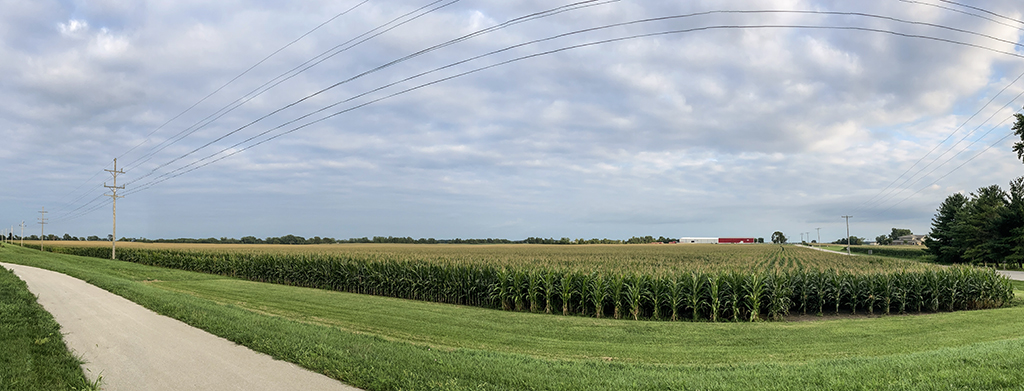 Name:  corn.jpg
Views: 856
Size:  332.4 KB