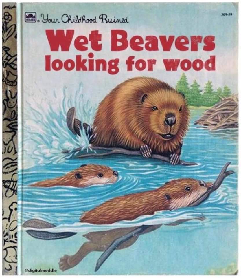 Name:  Wet_Beavers.jpg
Views: 562
Size:  85.4 KB