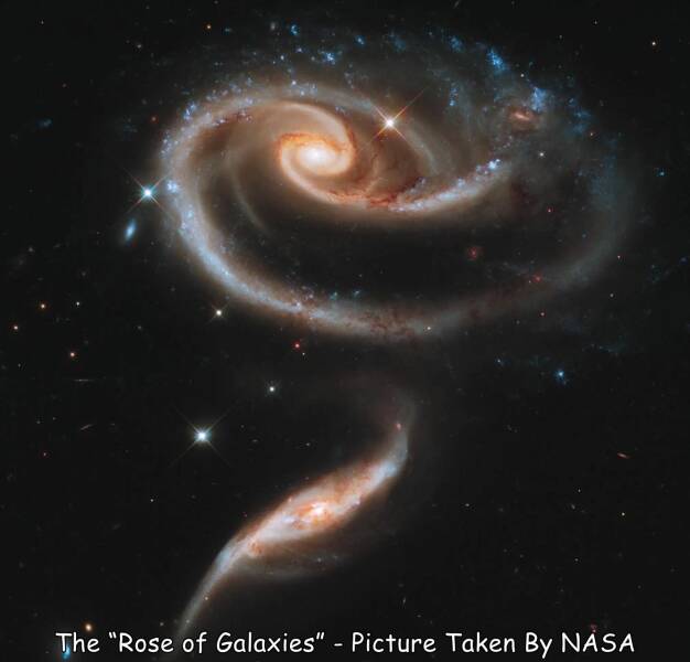 Name:  Rose of galaxies..jpg
Views: 4560
Size:  23.8 KB