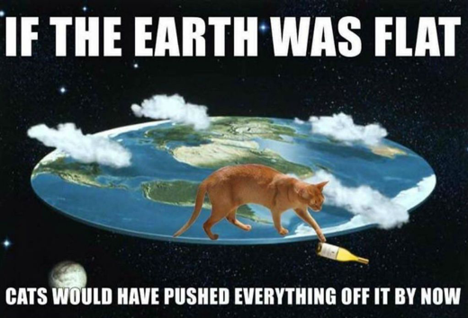 Name:  Cat_FlatEarth.png
Views: 982
Size:  301.1 KB