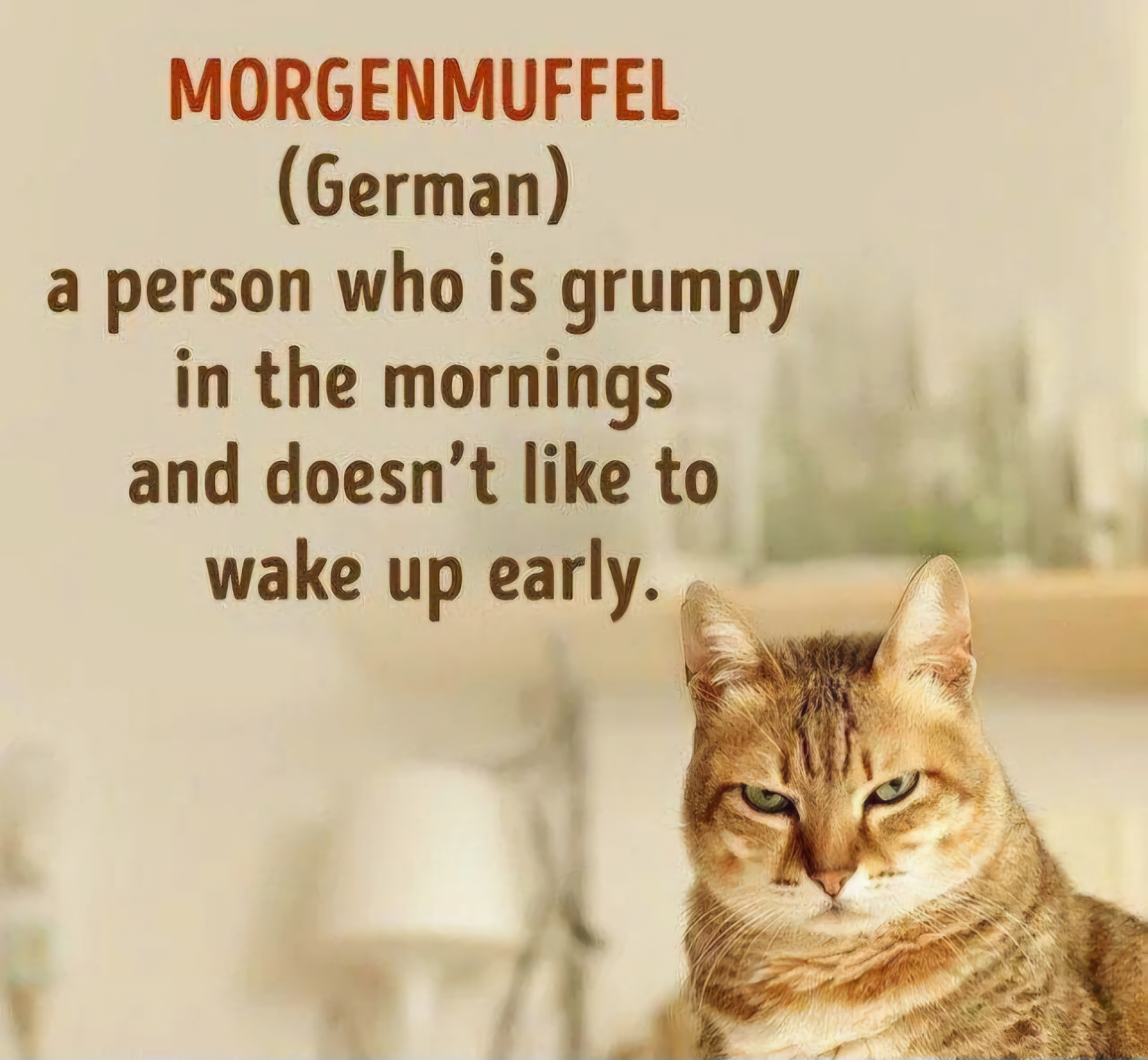 Name:  Morgenmuffel.jpg
Views: 1722
Size:  988.9 KB