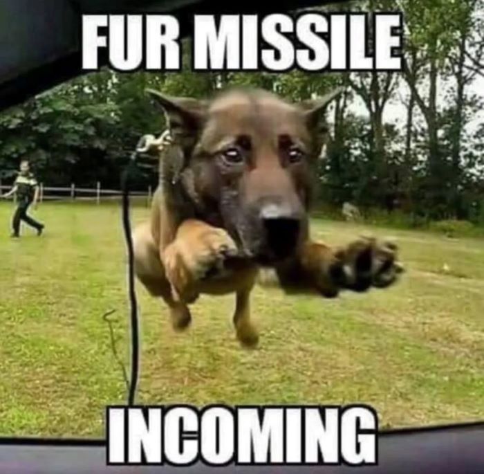 Name:  fur-missile-incoming.jpg
Views: 263
Size:  71.4 KB