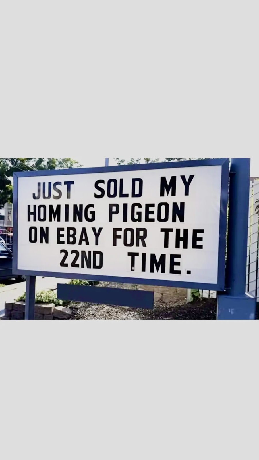 Name:  ebay-homing-pigeon.jpg
Views: 365
Size:  104.0 KB